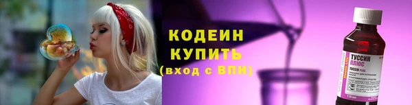 дурь Богданович