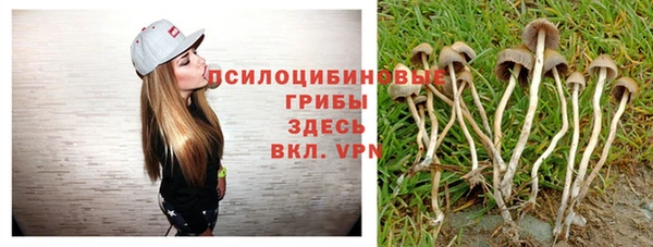 дурь Богданович
