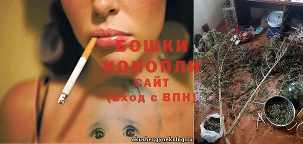 дурь Богданович