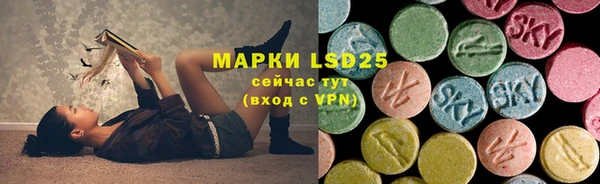 дурь Богданович