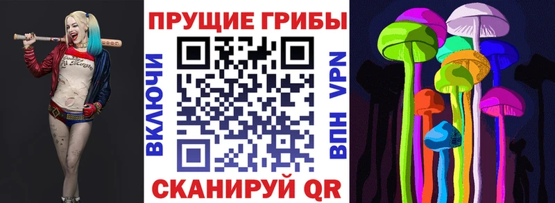 Псилоцибиновые грибы GOLDEN TEACHER  хочу   Медногорск 
